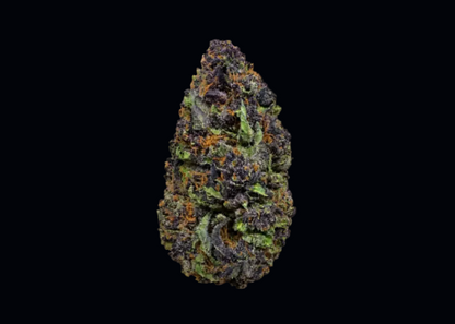 Gorilla Skunk
