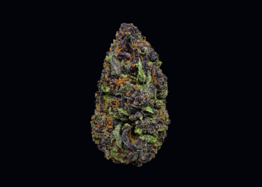 Gorilla Skunk