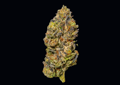 White Truffle